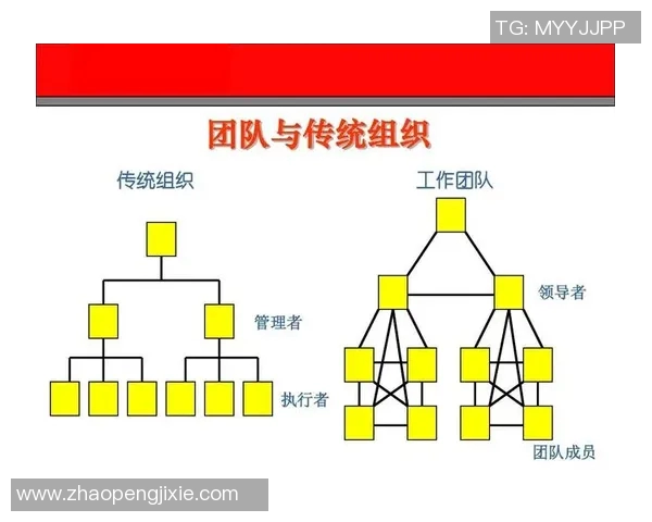 武汉羽毛球队团队协作表现的深度数据分析与研究探讨